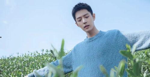 娱乐大爆料肖战恋情,娱乐圈新恋情引发热议